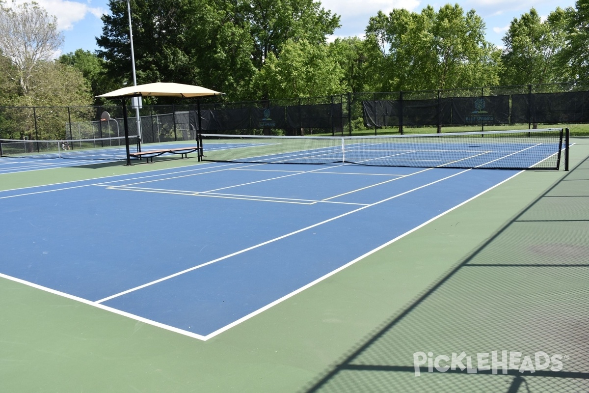 Photo of Pickleball at Blue Springs Park